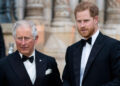 O príncipe Harry não será um “meio-in-fora” de trabalho real, mesmo que ele e o rei Charles reconciliem