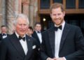 O príncipe Harry pediu para encontrar o canal secreto para a reunião do rei Charles