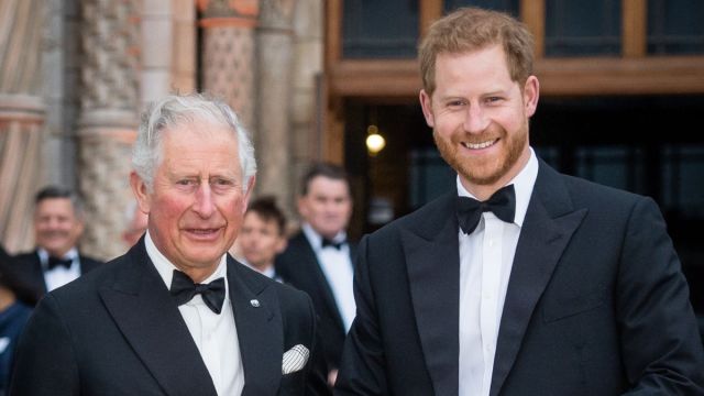 O rei Charles deu sua palavra final sobre os planos de retorno real do príncipe Harry, diz a fonte