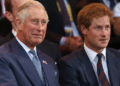 O rei Charles procurou conselhos de um membro da família real antes do príncipe Harry Reunion, afirma a fonte