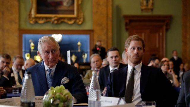 O status real de trabalho do príncipe Harry não é possível, pois ele atrai 'publicidade controversa', afirma o especialista afirma