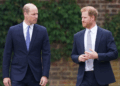 Os planos de William de "revidar" sobre a princesa Diana de Harry Doc