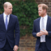 Os planos de William de "revidar" sobre a princesa Diana de Harry Doc