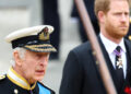 Príncipe Harry, a reunião do rei Charles foi o 'passo maciço na direção certa' em meio a Royal Rift