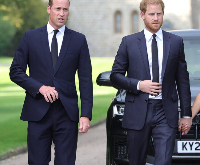 Príncipe Harry e Príncipe William para reconciliar 'no futuro não muito distante'