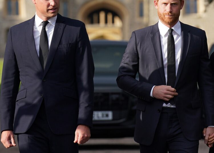 Príncipe Harry, príncipe William, rei Charles Relationship em meio à briga