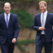 Príncipe William e príncipe Harry totalmente gêmeos um dia de intervalo