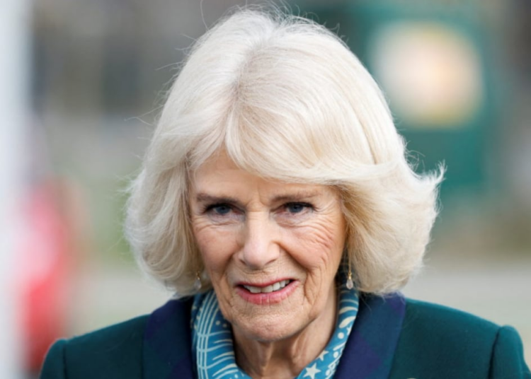Rainha Camilla para Miss Royal Funeral devido a doenças | Notícias do mundo