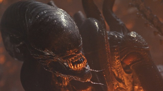 Romulus 2 em busca de um novo diretor como fede Álvarez recua