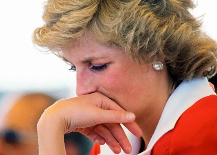 Diana-Gales-Sueter.jpg