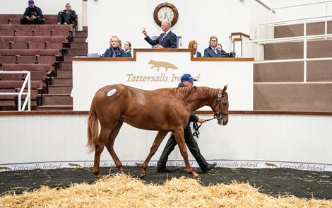 Royal Ascot Sucesso impulsionando a venda de setembro
