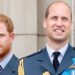 Royal Family Live: Moment Prince Harry e o vínculo do príncipe William mudou | Real | Notícias