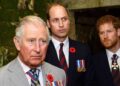 Royal family ready to replace Prince Harry in Invictus role: report