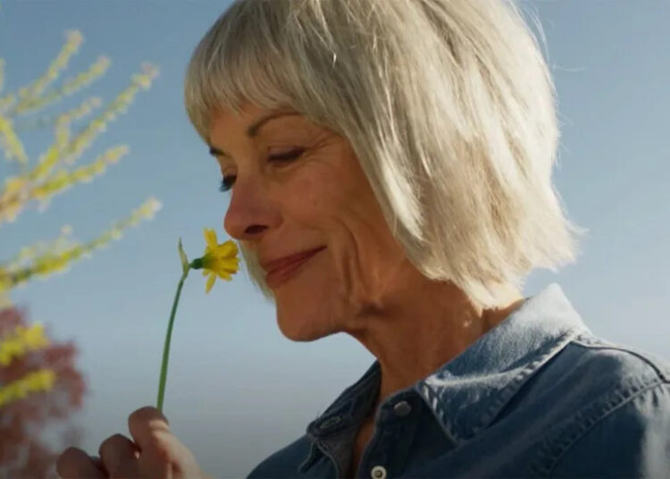 Se você é um fã da Hallmark e não está assistindo as irmãs de frango, você está realmente perdendo