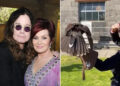 Sharon Osbourne encontra conforto "mágico" em hobby incomum após a morte de Ozzy Osbourne