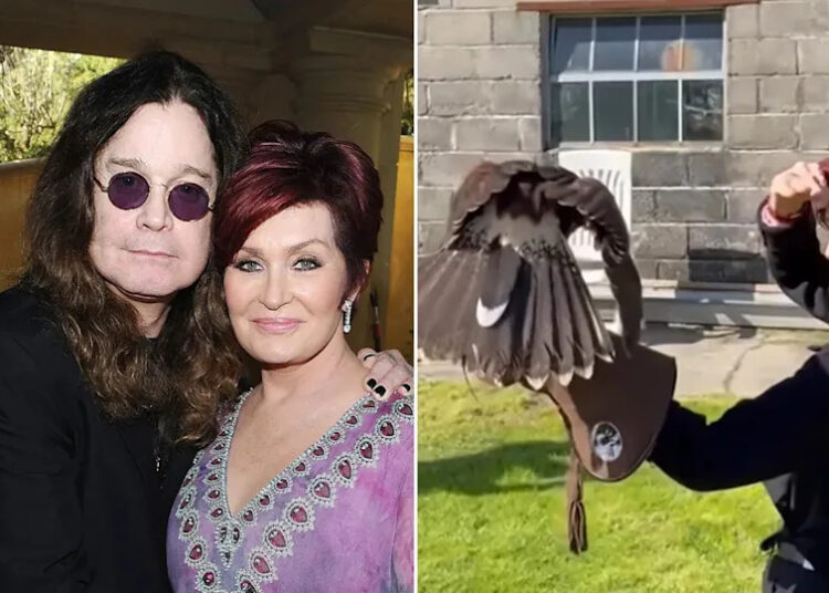 Sharon Osbourne encontra conforto "mágico" em hobby incomum após a morte de Ozzy Osbourne