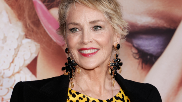 Sharon Stone mostra uma figura feroz em maiô de animais a bordo do barco