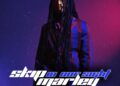 Skip Marley lança videoclipe "na nossa visão"