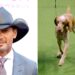 Tim McGraw, Randy Travis canta nos bastidores no momento emocionante