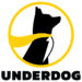 Underdog e Kansas City Royals anunciam parceria para acesso ao mercado de apostas esportivas no Missouri