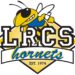 Vôlei da área: Hornets abatido pela Royals - Brainerd Dispatch