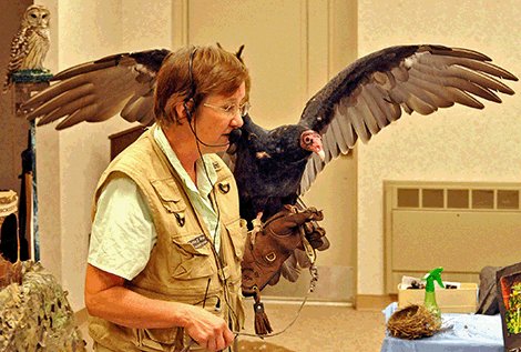 Wildlife Festival traz entretenimento e educação para Massena 27 de setembro