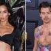 Zoe Kravitz e Harry Styles Pack no PDA durante a noite romântica no NYC - Star Magazine