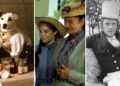 10 ótimos programas de PBS não disponíveis para transmitir