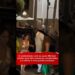 6 celebridades com as quais Michael Jordan teria tido romances complicados e a última é surpresa.