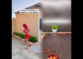 Como uma fofoca se espalha no meu bairro #turmadavalzinha