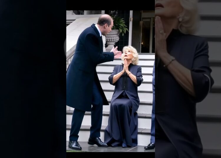 Prince william angry on Camilla in front of king Charles #britishroyalfamily #princewilliam #charles