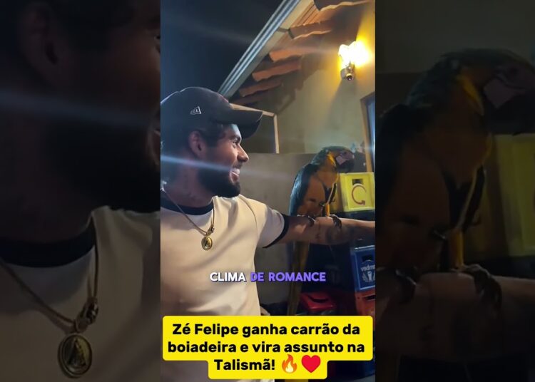 ZÉ FELIPE GANHA PRESENTE MILIONÁRIO DA BOIADEIRA! #fofoca #celebridades #famosos