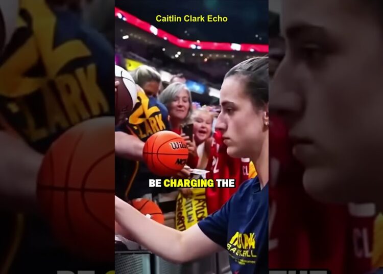 SUE BIRD BLAMES CAITLIN CLARK FOR WNBA CHAOS! #caitlinclark