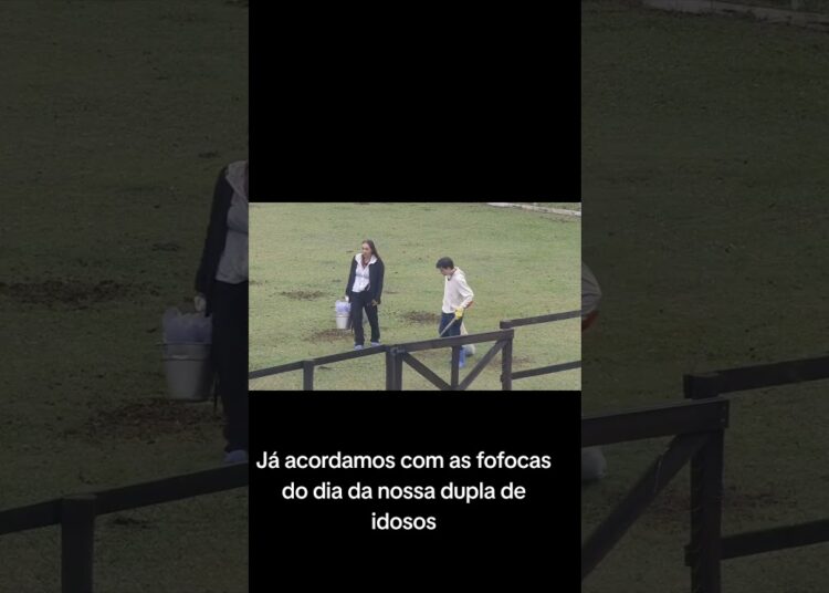 Já acordamos com as fofocas do dia da nossa dupla de idosos #afazenda17 #afazenda #shorts