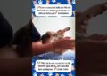 Cachorro engraçado – Contando as fofocas 💅🏻 #shorts #viralshorts #memes #pets