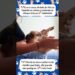 Cachorro engraçado – Contando as fofocas 💅🏻 #shorts #viralshorts #memes #pets
