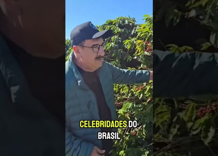 as três fazendas mais caras do Brasil de celebridades. 🌎 #curiosidades #shorts