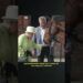 Isabel II la Reina de los Caballos #hipismo #turf #corona #reina #queenelizabethII #realeza