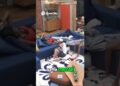 Selinhos e Fofocas: A Verdade Revelada!😑 #afazenda17 #record #afazenda #duducamargo #recordgo