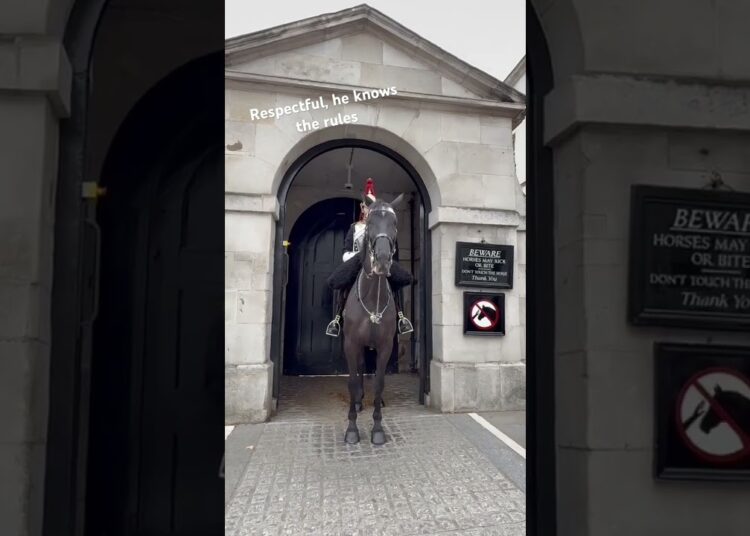 The Blues and royals, lovely ma knows the rules #horse #tourism #travel #trending  #trendingshorts