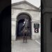The Blues and royals, lovely ma knows the rules #horse #tourism #travel #trending  #trendingshorts