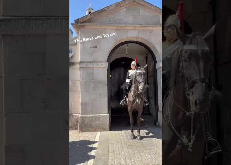 Respectful Young lady, The blues and royals #tourism #horse #londoners #trending #trendingshorts