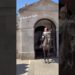 Respectful Young lady, The blues and royals #tourism #horse #londoners #trending #trendingshorts