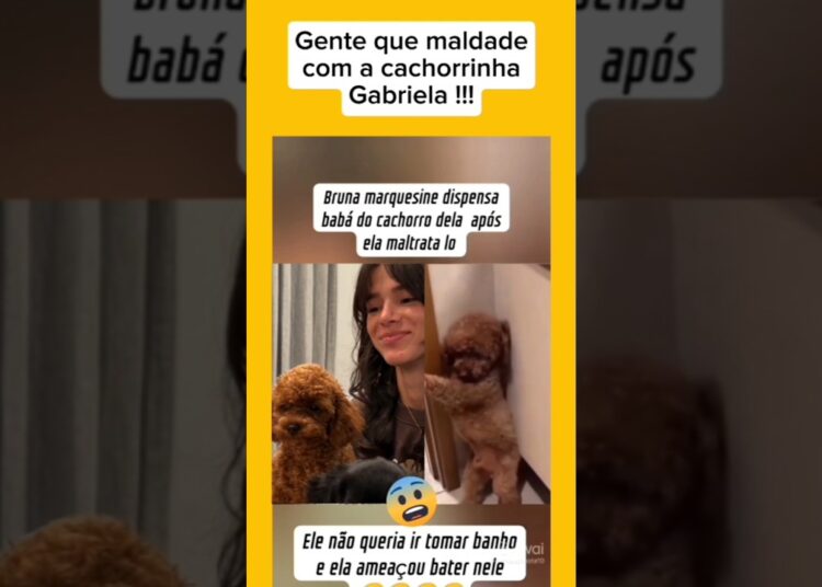 #katseyeHX #hypexcortes @hypex.cortes  @katseyeworld#famosos #celebridades #globo