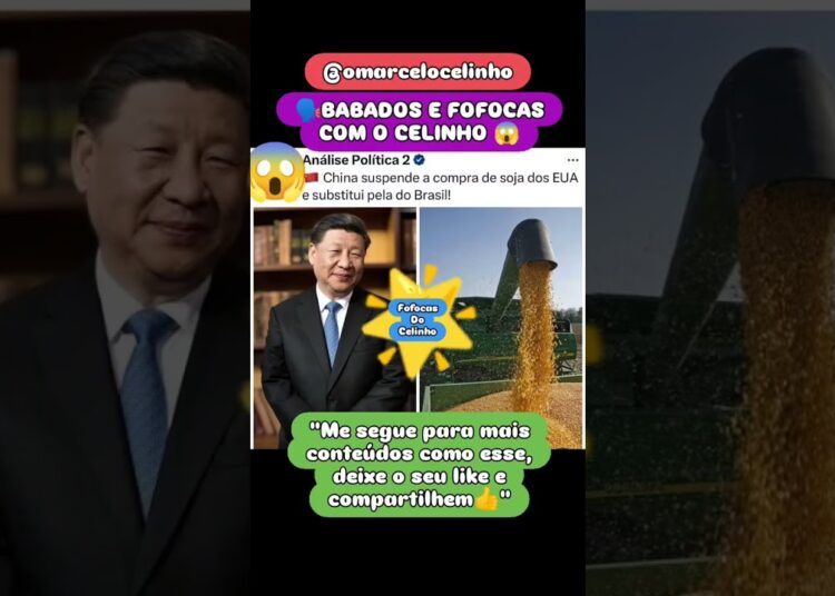 fofoquei china com o Brasil 🇧🇷 #fofocas #babados #petista