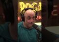 ❤Joe Rogan❤ Elon Musks Secret App #celebrity #podcast #joerogan #shorts