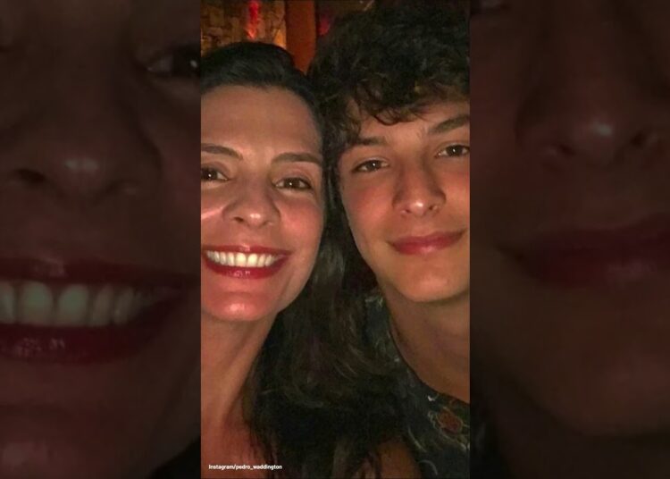 Pedro Waddington: Quem É O Ator Que Interpreta Tiago Roitman Em ‘Vale Tudo’