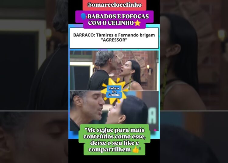 fofoquei Fernando vs Tamyres 😱 #fofocas #babados #choquei