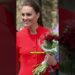 Kate Middleton preocupa con sus gestos recientes 😟 ¿Qué le pasa realmente? #KateMiddleton