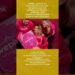 Empresa de Virgínia Fonseca é proibida de fazer live #fofocas #wepink #virginiafonseca